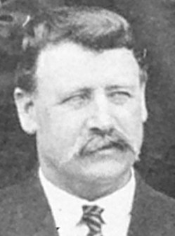 1919 Limerick Soviet, John Cronin