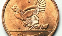 How to identify the Irish chickless penny variety ireland coins coinage