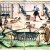 Mining in the 14th C - scenes from a medieval silver mine