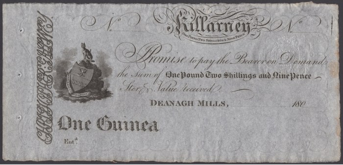 c. 1804 Deenagh Mills, Killarney, One Guinea (One pound, two shillings & ninepence)