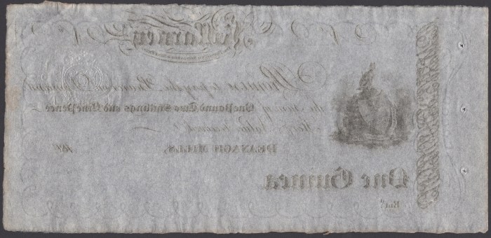 c. 1804 Deenagh Mills, Killarney, One Guinea (One pound, two shillings & ninepence) reverse embossed