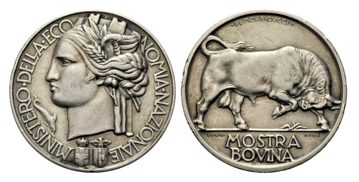 Award medal of the Ministry of National Economy opus Morbiducci. Silver 30.78 mm